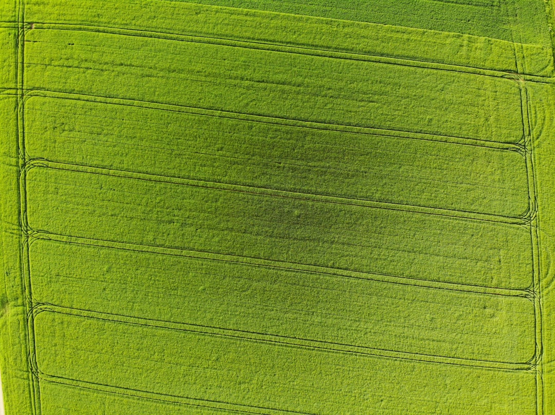 The Mysterious Phenomenon of Green Smoke